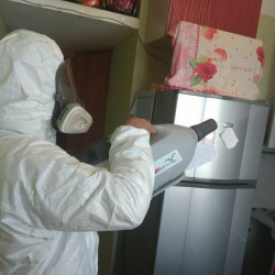 Уничтожение насекомых в квартире. Университет